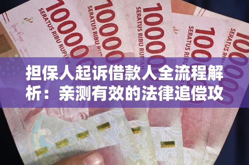 济南担保人起诉借款人全流程解析：亲测有效的法律追偿攻略