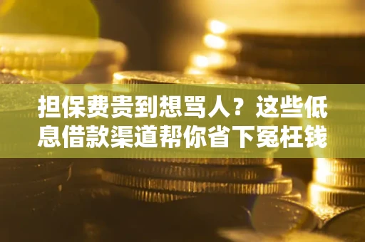 济南担保费贵到想骂人？这些低息借款渠道帮你省下冤枉钱