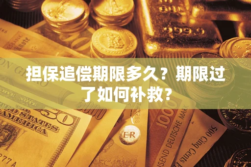 济南担保追偿期限多久？期限过了如何补救？